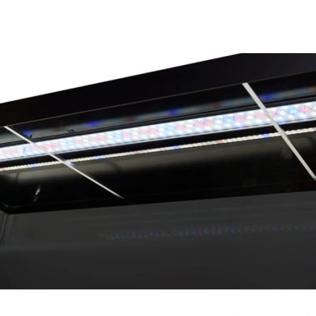 AkvaStabil ELEMENT Akvarium 144 L Sort