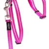 Allecat Kattesele og Linesæt 24-40 cm 1,8 m 11 mm Pink