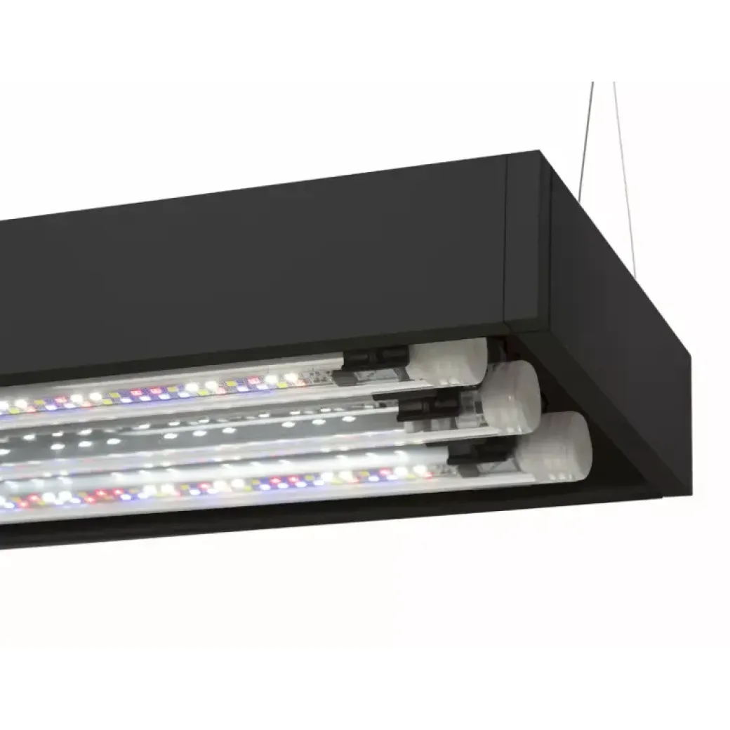 AquaEl Akvarie og Lampe Ultra Scape 60 Forest