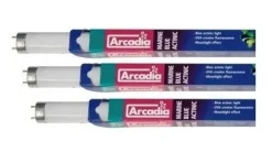 Arcadia Actinic Marine Blå lysstøfrør 25 Watt