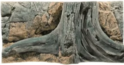 Back to Nature Amazonas 100 cm