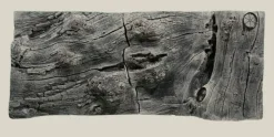 Back to Nature Orinoco Juwel 100x42 cm