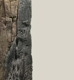 Back to Nature Slim-Line 60 C Amazone (20x55 cm)