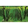 Baggrund til akvarium Canyon og Woodland (30 cm høj) 60 cm