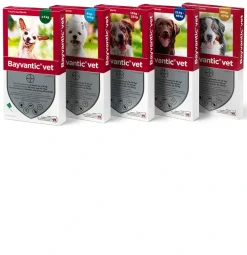 Bayvantic Vet hund 4-10 kg