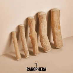 Canophera Kaffetræ M - naturligt tyggelegetøj til mellemstore hunde