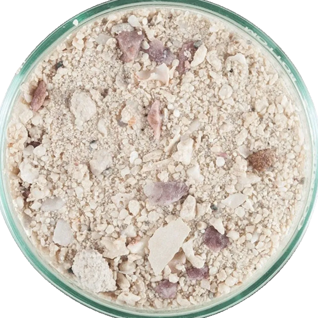 CaribSea Aragalive Bimini Pink 9,07 kg