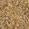 Catit Senses 2.0 Kattegræs Refill Kit sæt med 3 stk.