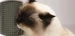 Catit Senses 2.0 Self Groomer - Kattebørste