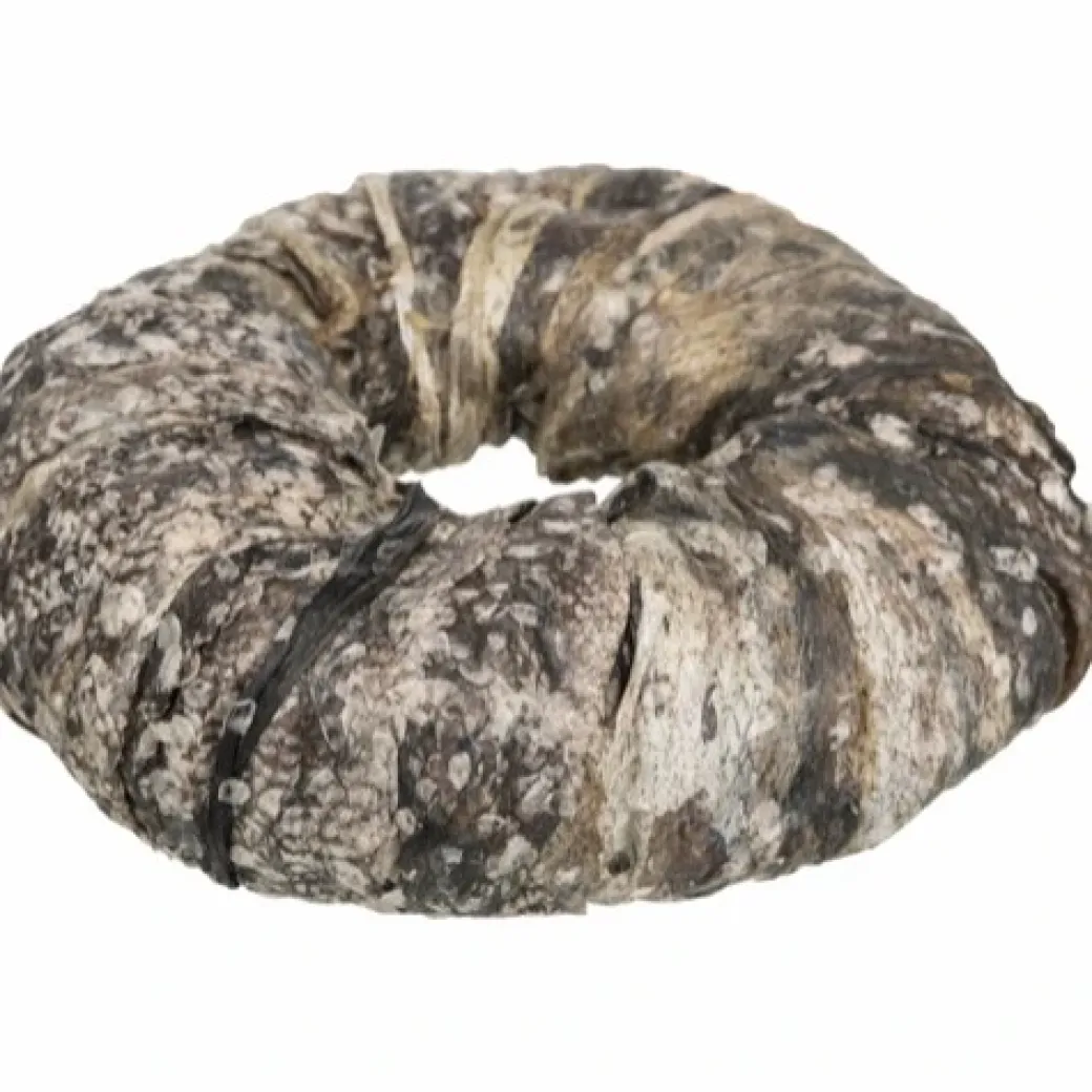 Denta Fun Tyggering med Fisk Ø 10 cm - sund hundesnack