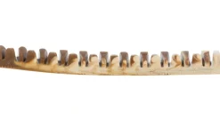 Denta Fun Veggie Tyggeben 22 cm (vegetabilsk) - stort vegansk tyggeben til hunde