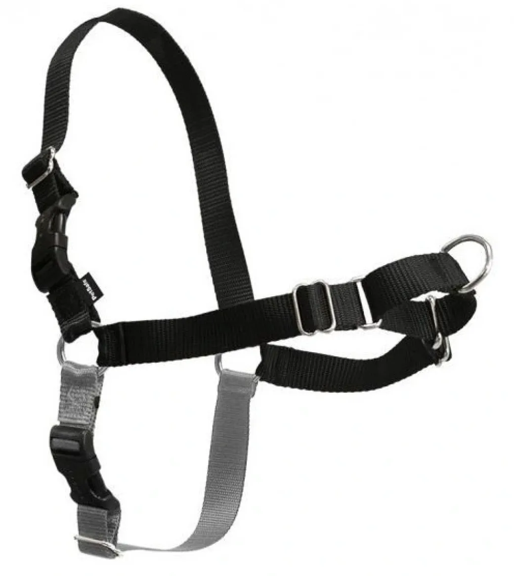 Easy Walk Hundesele Sort S - Bryst 21,5-28 cm