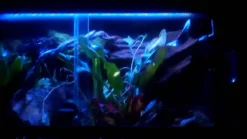 Exo Terra Night Glo 15 watt