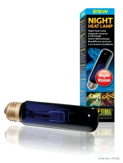 Exo Terra Night Glo 25 watt.