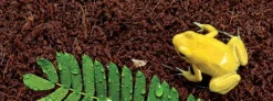 Exo Terra Plantation Soil 650 g