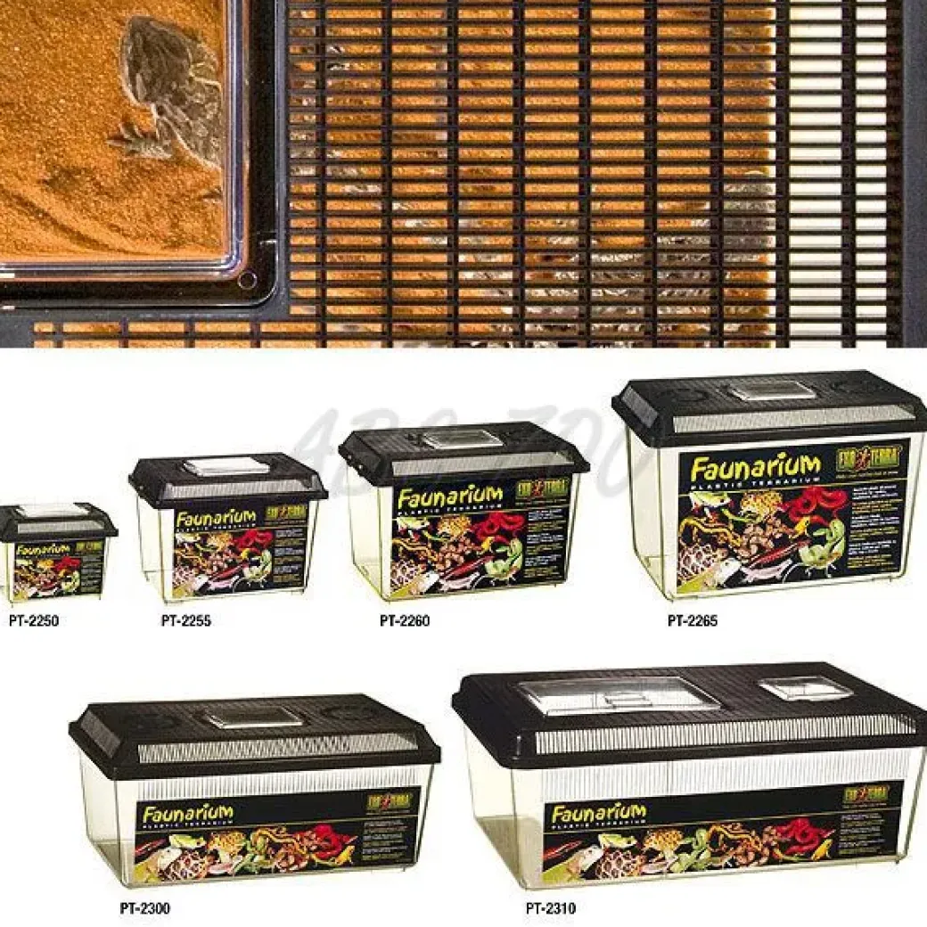 Exo Terra Plastik terrarium stor (HPT2310)