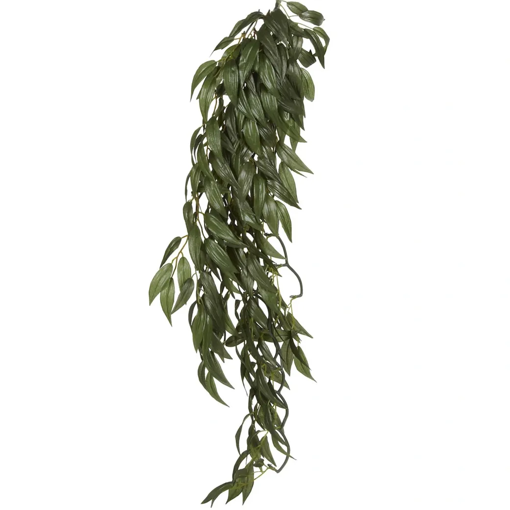 Exo Terra Ruscus stor