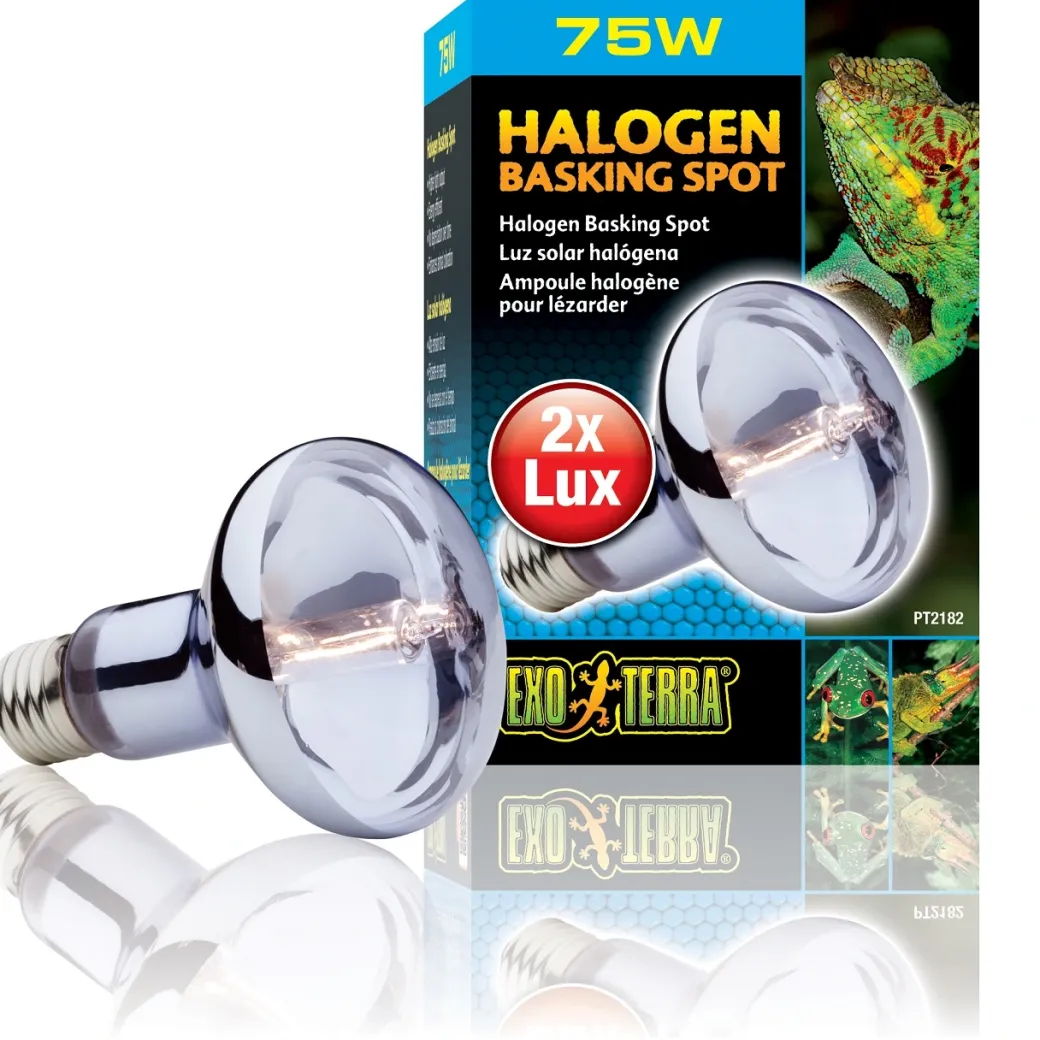 Exo Terra Sun Glo Halogen 75 w