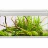 Family Akvarium 60x30x32 cm 54 Liter