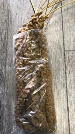 Franske Gule Hirsekolber 10 stk
