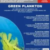 Frostfoder Grøn Plankton 100 gram