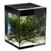 Glossy akvarie Cube 50x50x63 cm 132 L Sort