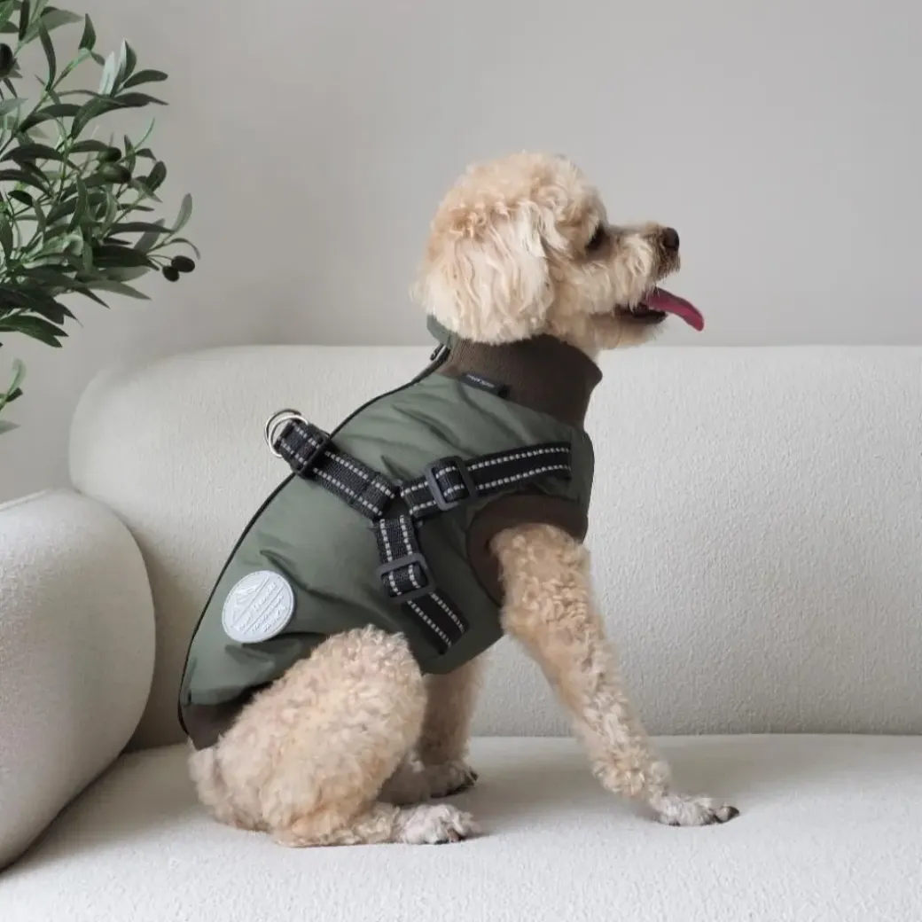 Hundejakke Thor med indbygget sele Grøn XS