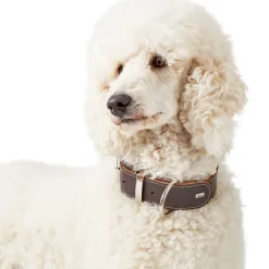 Hunter Aalborg Special Hundehalsbånd Brun 35 - 24-30 cm