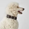 Hunter Aalborg 60 Special Mørkebrunt hundehalsbånd - 45-55 cm
