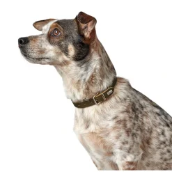 Hunter Aalborg Sport Oliven 32 hundehalsbånd - 24-29 cm