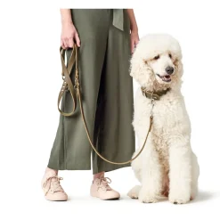 Hunter Aalborg Sport Oliven 32 hundehalsbånd - 24-29 cm