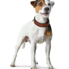 Hunter Cody 45 Cognac Mørkebrun hundehalsbånd - 33-39 cm