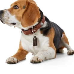 Hunter Cody 50 Cognac Mørkebrun hundehalsbånd - 37-43 cm