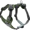 Hunter Divo hundesele M grøn/grå just mave 56-73 cm - Stabil kontrol og komfort