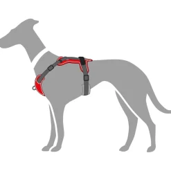 Hunter Divo hundesele M rød/grå just mave 56-73 cm - Stabil pasform og aktiv komfort
