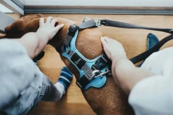 Hunter Divo hundesele S lyseblå/grå just mave 45-56 cm - Let kontrol og høj komfort