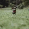 Hunter Divo hundesele S rød/grå just mave 45-56 cm - Smidig pasform og stabil kontrol
