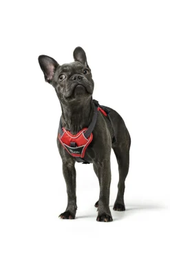 Hunter Divo hundesele S rød/grå just mave 45-56 cm - Smidig pasform og stabil kontrol
