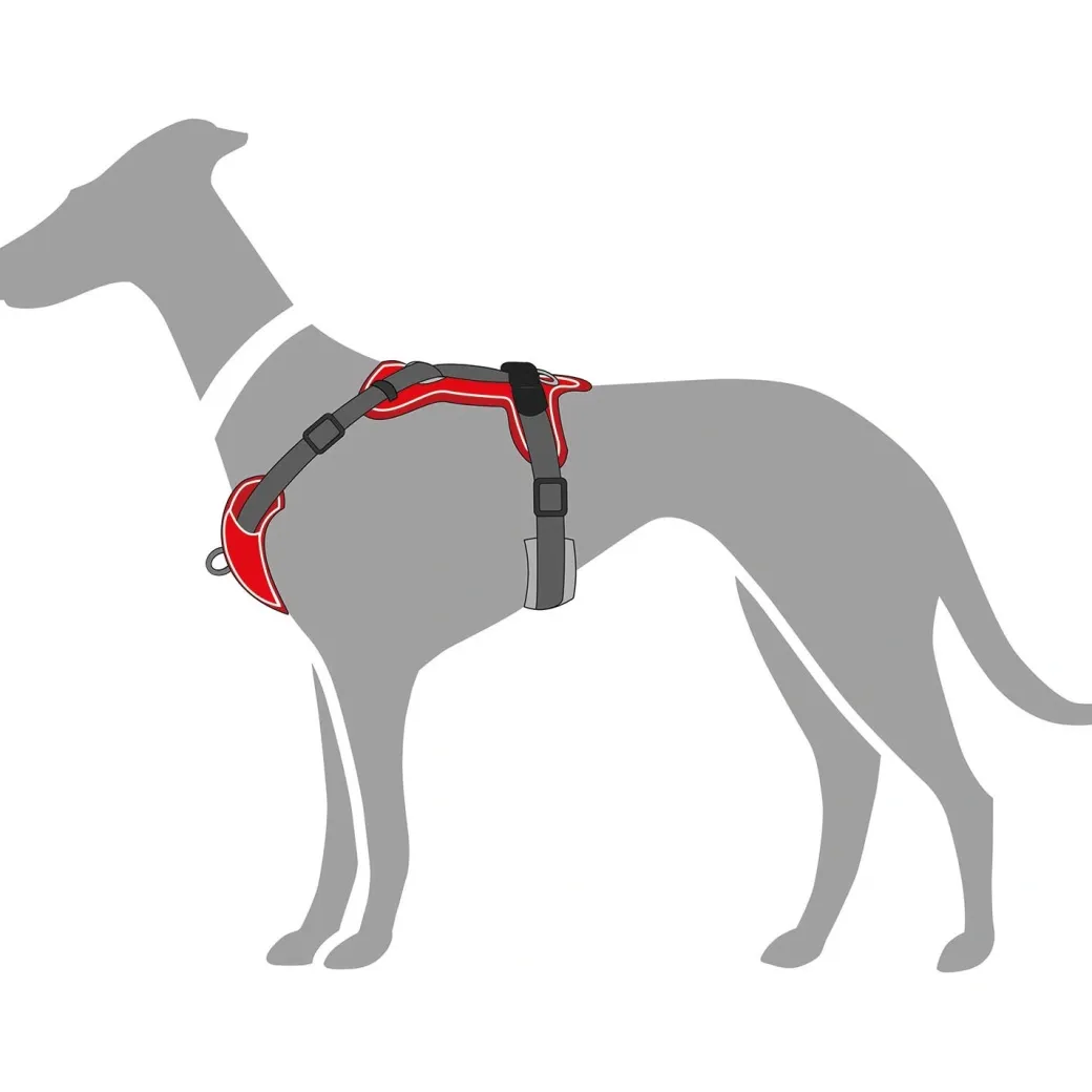Hunter Divo hundesele XS rød/grå just mave 34-47 cm - Let pasform og tryg kontrol