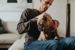 Hunter Divo hundesele XS rød/grå just mave 34-47 cm - Let pasform og tryg kontrol