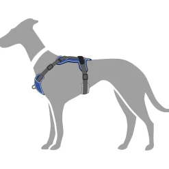 Hunter Divo Up hundesele L petrol/grå just mave 72-100 cm - Stabil kontrol og komfort