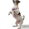 Hunter Divo Up hundesele L-XL lyserød just mave 79-107 cm - Stabil støtte og tryg kontrol