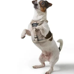 Hunter Divo Up hundesele M beige just mave 56-73 cm - Stabil bevægelse og ergonomisk komfort