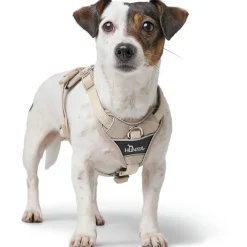 Hunter Divo Up hundesele S beige just mave 45-56 cm - Rolig påtagning og stabil komfort