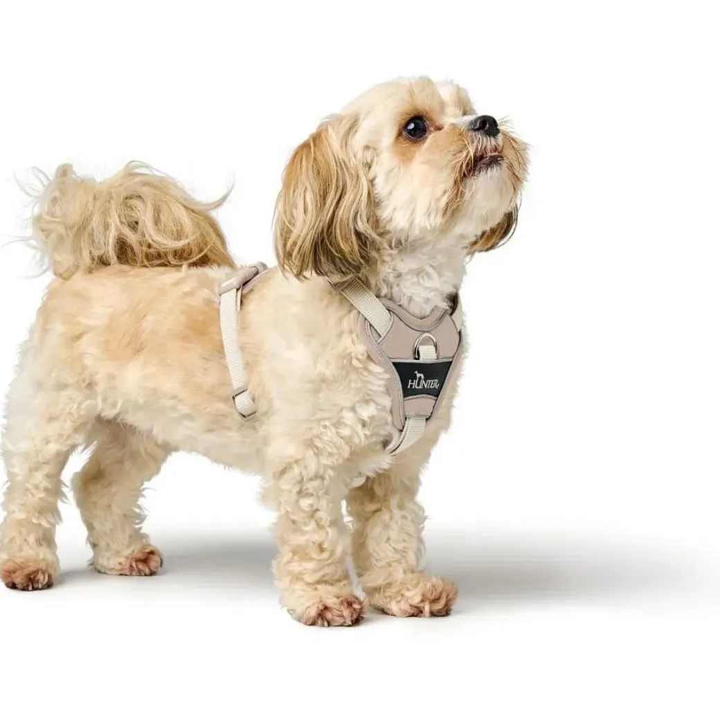 Hunter Divo Up hundesele XS beige just mave 34-47 cm - Nem påtagning og ergonomisk komfort