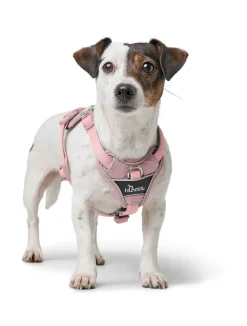 Hunter Divo Up hundesele XS lyserød just mave 34-47 cm - Blid påtagning og let ergonomisk komfort