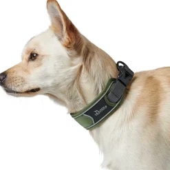 Hunter Halsbånd Divo S Grøn/Grå - justerbart hundehalsbånd (25-35 cm, B 4 cm)