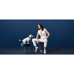 Hunter hunde halsbånd Hilo Blå S-M - justerbart hundehalsbånd (30-43 cm, B 2,5 cm)