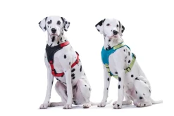 Hunter hundesele Neopren Rød XL længde 73-94 cm 2,5 cm - blød og stabil komfort