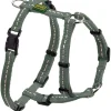 Hunter Hundesele Tripoli Oliven S